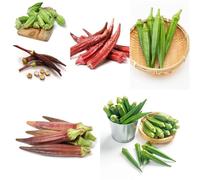 semi di okra biologici - semi biologici balcone per inverno, giardino, 400pcs