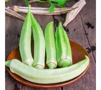 semi di okra - Semi di esterno resistenti biologici balcone - rari Decorazione ufficio, 500pcs