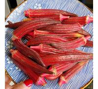 Semi di Okra, vecchie varietà per giardino di invernale 80pcs