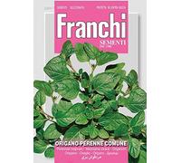 SEMI DI ORIGANO PERENNE COMUNE FRANCHI SEMENTI