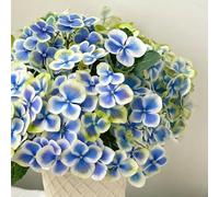 semi di ortensia, serre da balcone decorazioni da giardino per esterni in vaso giardino sul balcone Aiule rialzate per il varietà biologiche tradizionali in vaso 60pcs