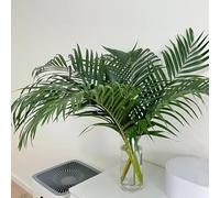 semi di palma dal dorato - letto rialzato, resistenti d'appartamento, giardino, roccioso, 150pcs