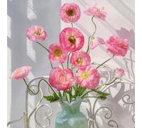 Semi di papavero - balcone semi di selvatici varietà antiche, rare per giardinieri resistenti per giardini 800pcs