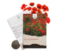 Semi di papavero comune (Papaver rhoeas) - Bellissimi papaveri dalla lunga fioritura per un prato fiorito colorato (rosso)