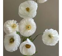 Semi di Papavero,da Balcone,da 400pcs