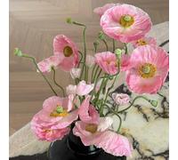 Semi di papavero, semi da giardino, biologici Semi di papavero di mais perenne resistente vecchie varietà semi decorazione del giardino per esterno 100pcs