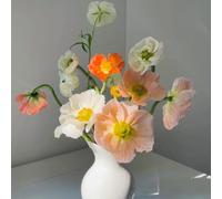 Semi di papavero, Semi di papavero di mais perenne resistente, vecchie varietà per luoghi soleggiati 1000pcs