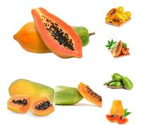 Semi di papaya - colonnari di papaya giardino balcone con parterre giardino rocce resistenti 200pcs