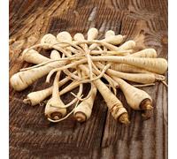 semi di pastinaca invernali in da esterno resistenti vecchie varietà biologici balcone decorative per 400pcs