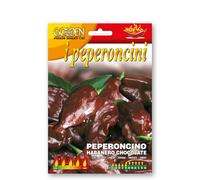 SEMI DI PEPERONCINO HABANERO CHOCOLATE FRANCHI SEMENTI- SEMENTI SELEZIONATE GOLDEN LINE BUSTINA DA 20 SEMI GLPE97/122