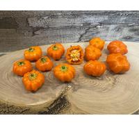 Semi di Peperoncino Mini Zucca Aji Calabaza, 10 Semi, Pianta da Esterno, Altezza 10 metri, Germinazione 10 Giorni