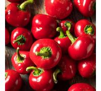 Semi di peperoncino, pepperoni, jalapeno da giardino roccioso di rare vegetali vecchie varietà serre da balcone giardino balcone in vaso interno orto 20pcs