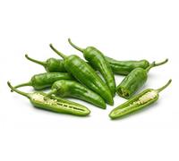 Semi di Peperone Friariello di Nocera 6g | Peperoncini Friarielli da Coltivare per Orto, Vaso e Serra | Alta Germinazione, Raccolto Abbondante | Semi Ortaggi per Orto Domestico