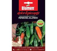 SEMI DI PEPERONE JALAPENO PICCANTE PEPERONCINO BLUMEN