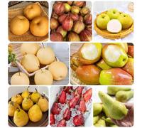 semi di pero, balcone di pera, Pyrus gli da nani sono resistenti, biologici resistenti per il giardino 50pcs