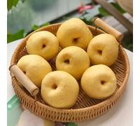 semi di pero, balcone, giardino sono perenni resistenti comprare, rare, 150pcs