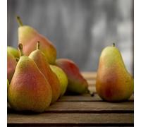 semi di pero d'appartamento esotiche esterno copertura 85pcs