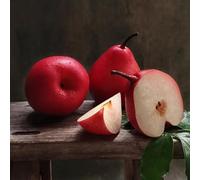 semi di pero, resistenti per il giardino da balcone, nani sono resistenti, biologici balcone, 30pcs