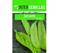 Semi Di Piselli Tirabeque Busta Sigillato Semi Orto - 25 Grammi