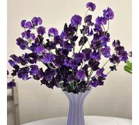 Semi di pisello dolce, serre da balcone Semi di pisello odoroso resistenti, da esterno resistenti perenni da giardino roccioso resistenti 250pcs