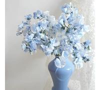 Semi di pisello dolce, serre da balcone Semi di pisello odoroso resistenti, per luoghi soleggiati semi di vecchie varietà 450pcs