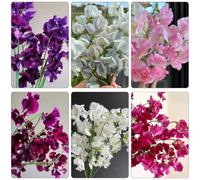 Semi di pisello odoroso - piselli odorosi, Aiuole rialzate per il giardino serre balcone giardino arredamento del soggiorno rara rampicante 1000pcs