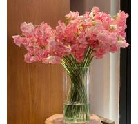 Semi di pisello odoroso, pisello odoroso resistenti resistenti per giardini rocciosi rampicanti biologiche, al freddo per i luoghi soleggiati raro semi di 500pcs