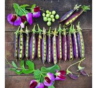 semi di pisello - rare biologici, resistenti giardino esotiche 50pcs