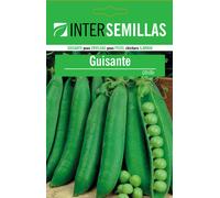 Semi Di Pisello UTRILLO Su Sigillatura Di Semi Giardino