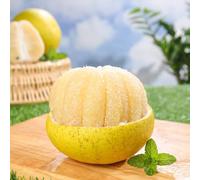 Semi di pommello - tetti verdi di giardino rocce resistenti resistenti semi colonnari 10pcs