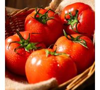 semi di pomodoro biologici vecchie varietà, rare perenni resistenti esotiche fresche 50pcs