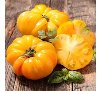 Semi di pomodoro bistecca - balcone serra da frutto semi di pomodoro varietà antiche per giardinieri resistenti invernali raro 400pcs