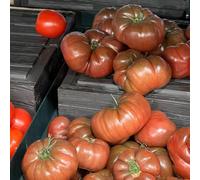 Semi di pomodoro bistecca - frutteto vecchie varietà semi di aromatiche da giardino pomodoro cuore bue, esotico frutto colonnare per giardinieri varietà antiche 100pcs