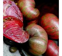 Semi di pomodoro bistecca - resistenti frutto colonnare semi di balcone serra pomodoro cuore bue, raro per giardinieri varietà antiche 150pcs