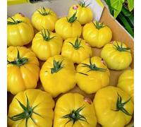 Semi di pomodoro bistecca - resistenti semi di frutto colonnare pomodoro cuore bue, vecchie varietà frutteto varietà antiche da frutto balcone serra 300pcs