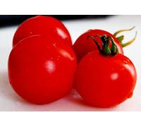 Semi di pomodoro, ciliegia biologica, non OGM Heirloom Tomatoes, ideale per insalate 50ct