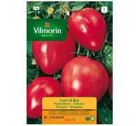 Semi di Pomodoro Cuore Bue S-1 766, 1 Gr