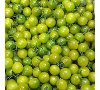 Semi di pomodoro - esotiche balcone con semi di giardino sostenibili biologico vecchie varietà resistenti 180pcs