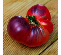 semi di pomodoro, interno resistente balcone rialzato con letto rampicanti d'appartamento esotiche arredamento del soggiorno antiche varietà di 750pcs