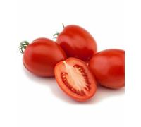 Semi di Pomodoro Rio Grande 50 Semi Orto Verdura