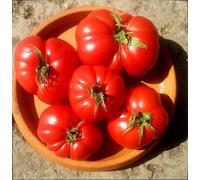 Semi Di Pomodoro Saint Pierre 50 Semi Giardino Verdure