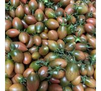 semi di pomodoro varietà antiche - giardino resistenti perenni biologici 10pcs