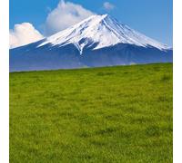 semi di prato, acquistarere Semi di Zoysia, sul balcone semi di copertura del terreno da giardino 1500pcs