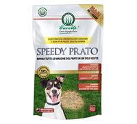 SEMI DI PRATO + CONCIME PER PRATO ERBA RIPARATORE DELLE ZONE DEGRADATE DEL PRATO CHIAZZE MACCHIE NEL PRATO 1,5 KG AMDGarden