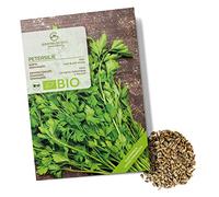 Semi di prezzemolo liscio biologiche - Semi di erbe aromatiche da coltivare in cucina, sul balcone, sul orto rialzato e in giardino