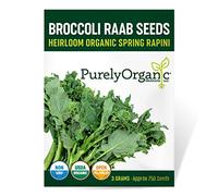 Semi di raab di broccoli biologici (Spring Rapini) - circa 750 semi - USDA biologico, non OGM, impollinazione aperta, cimelio, origine USA