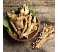 semi di rafano, varietà antiche 300pcs