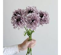 Semi di ranuncolo, semi di selvatici perenni da esterno come per gli ospiti decorazione floreale ranuncolo serre da balcone 65pcs