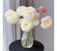 Semi di Ranunculus ranuncolo - semi di giardino estivi vaso primaverili interno 80pcs