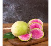 semi di ravanello resistenti, biologici, varietà antiche fresche, 800pcs